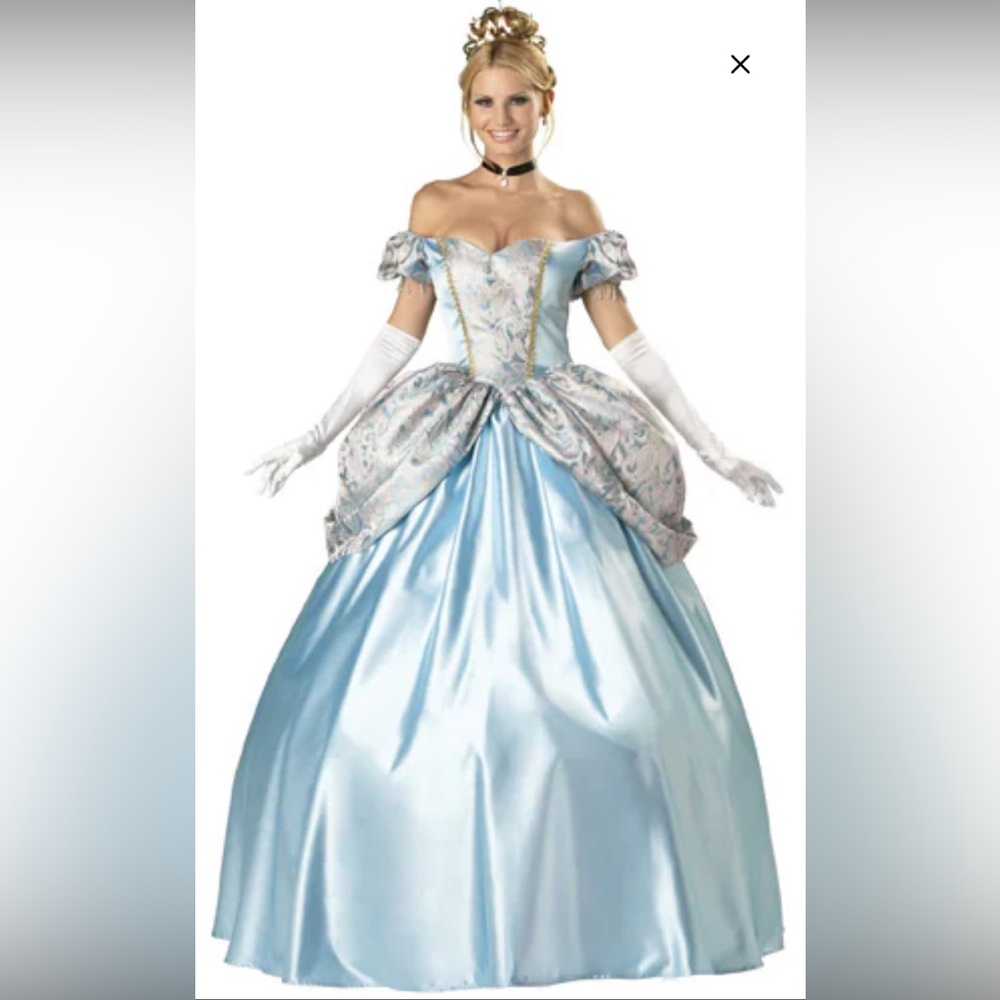 Fun World Women’s Enchanting princess costume, small/medium